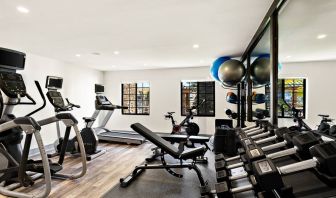 Sonesta ES Suites Denver South - Park Meadows’ fitness center is equipped with gym balls, free weights, and various exercise machines for guests to use.