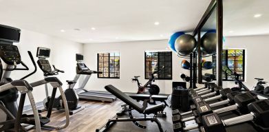 Sonesta ES Suites Denver South - Park Meadows’ fitness center is equipped with gym balls, free weights, and various exercise machines for guests to use.