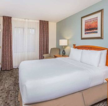 Sonesta ES Suites Atlanta - Perimeter Center double bed guest room, featuring TV, armchair, and window.