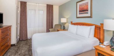 Sonesta ES Suites Atlanta - Perimeter Center double bed guest room, featuring TV, armchair, and window.