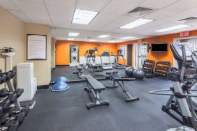 Sonesta ES Suites Atlanta - Perimeter Center’s fitness center has both free weights and a range of exercise machines, plus benches and a wall-mounted TV.