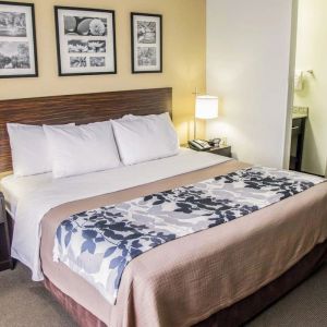 Romantic day room at Sleep Inn Tinley Park.