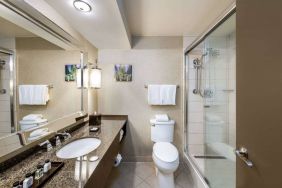 Sonesta White Plains Downtown guest bathroom including shower, lavatory, sink, and mirror.