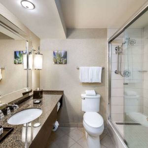 Sonesta White Plains Downtown guest bathroom including shower, lavatory, sink, and mirror.