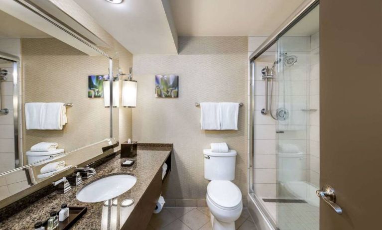 Sonesta White Plains Downtown guest bathroom including shower, lavatory, sink, and mirror.