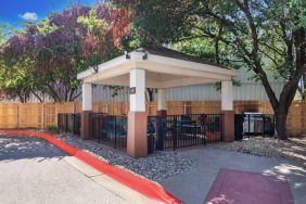 Sonesta Simply Suites Austin South’s gazebo provides benches and tables with barbecue facilities where guests can dine and relax.