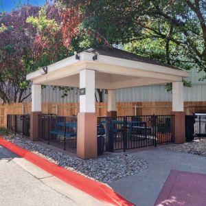 Sonesta Simply Suites Austin South’s gazebo provides benches and tables with barbecue facilities where guests can dine and relax.