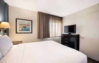 Double bed guest room in Sonesta Simply Suites Dallas Las Colinas, featuring a window and widescreen TV.