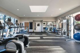 Fitness center equipped with free weights, gym balls, a TV, and various exercise machines at Sonesta Select Los Angeles LAX El Segundo.