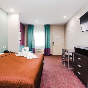 King bed with TV and natural light at Express Inn - Spring.