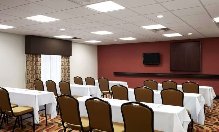 Professional meeting room at Hampton Inn & Suites Conroe - I-45 North.