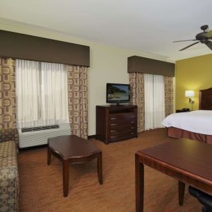 King room with TV and ceiling fan at Hampton Inn & Suites Conroe - I-45 North.