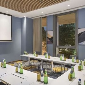 Professional meeting room at Hilton Garden Inn Tbilisi Riverview.