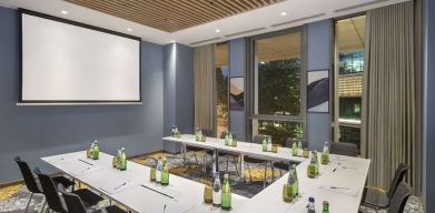 Professional meeting room at Hilton Garden Inn Tbilisi Riverview.