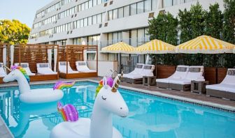 Fun in the sun in this stunning outdoor pool at Hotel Dena, Pasadena Los Angeles.