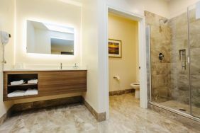 Guest bathroom with shower at Palace Inn Blue CityCentre.