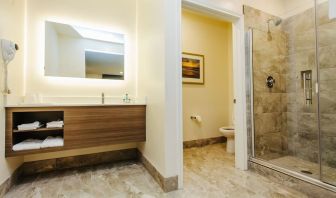 Guest bathroom with shower at Palace Inn Blue CityCentre.