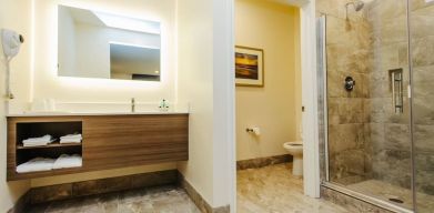 Guest bathroom with shower at Palace Inn Blue CityCentre.