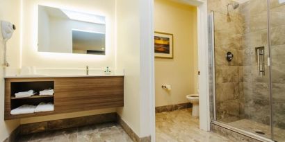 Guest bathroom with shower at Palace Inn Blue CityCentre.