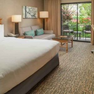 Bright king bedroom with large window overlooking the patio at the DoubleTree by Hilton Sonoma Wine Country.