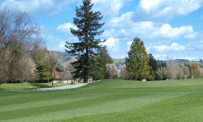 Golf club at the DoubleTree by Hilton Sonoma Wine Country.