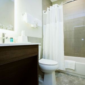 Guest bathroom at Palace Inn Westpark Blue.