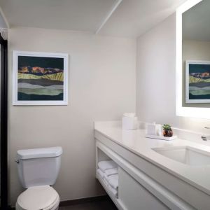 Guest bathroom with shower at Sonesta Irvine.