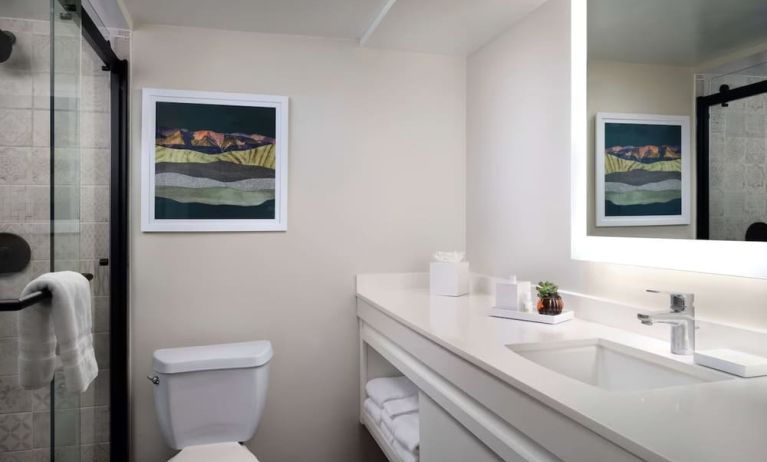 Guest bathroom with shower at Sonesta Irvine.