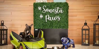 Pet friendly at Sonesta Redondo Beach & Marina.