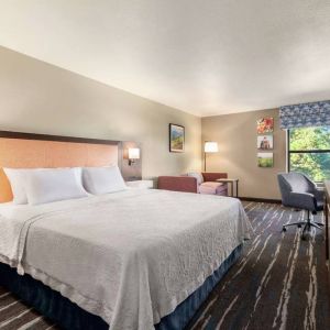 Day use room with natural light at Hampton Inn Tracy.