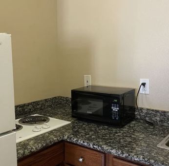 Fridge and microwave at Palace Inn Westheimer.
