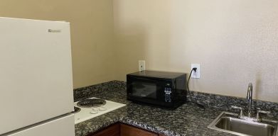 Fridge and microwave at Palace Inn Westheimer.
