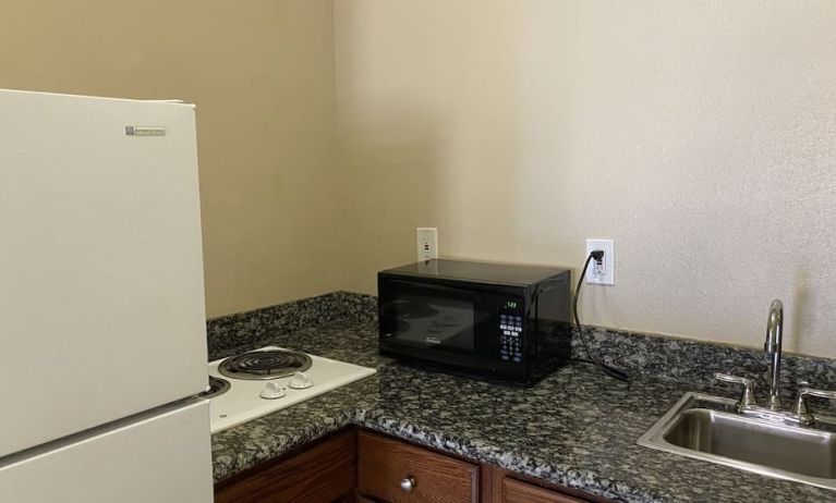 Fridge and microwave at Palace Inn Westheimer.
