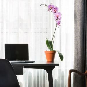 Business desk at The Tillary Hotel.