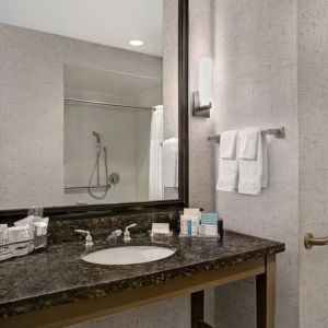 Guest bathroom with shower at Hampton Inn & Suites Austin @ The UniversityCapitol.