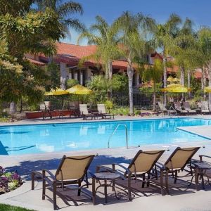 Outdoor pool with pool loungers at DoubleTree By Hilton Ontario Airport.