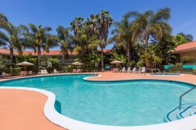 Outdoor pool with palm trees at Uptown Oasis San Jose Airport.