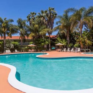 Outdoor pool with palm trees at Uptown Oasis San Jose Airport.