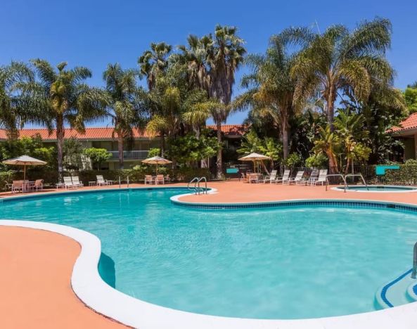 Outdoor pool with palm trees at Uptown Oasis San Jose Airport.