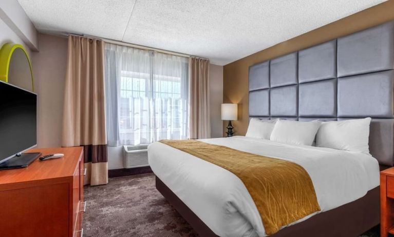 King room with TV at Comfort Inn & Suites Nashville Near Tanger Outlets.