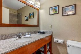 Guest bathroom with shower at Comfort Inn & Suites Nashville Near Tanger Outlets.