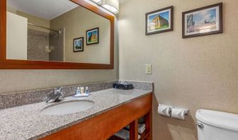 Guest bathroom with shower at Comfort Inn & Suites Nashville Near Tanger Outlets.