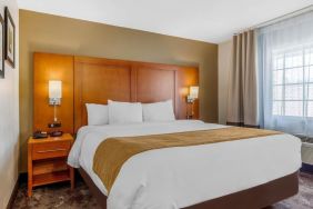 Romantic king room with natural light at Comfort Inn & Suites Nashville Near Tanger Outlets.