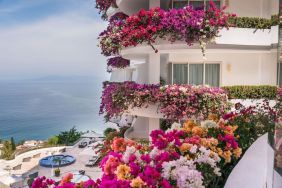 Luxury hotel with flowers at Grand Miramar All Luxury Suites & Residences.