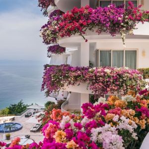 Luxury hotel with flowers at Grand Miramar All Luxury Suites & Residences.