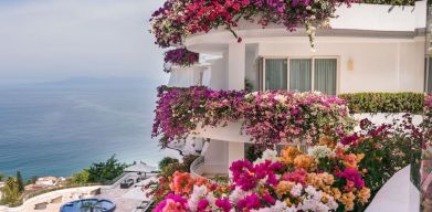 Luxury hotel with flowers at Grand Miramar All Luxury Suites & Residences.