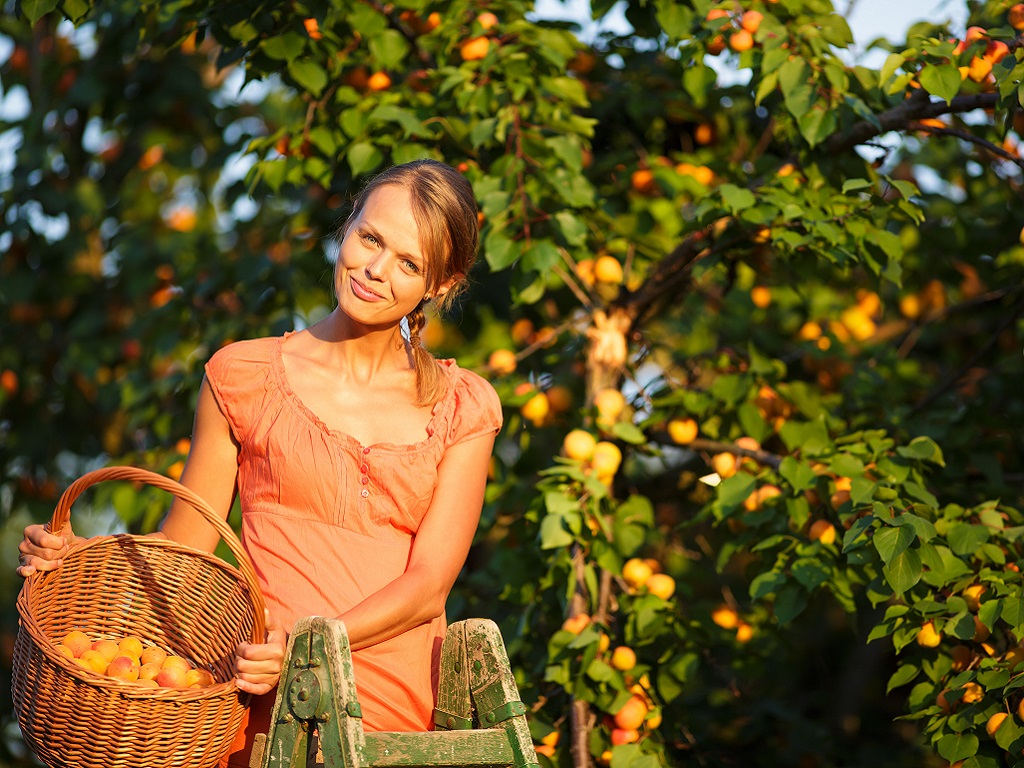 Spot, Pick & Smile: It’s a Fruit Picking Daycation