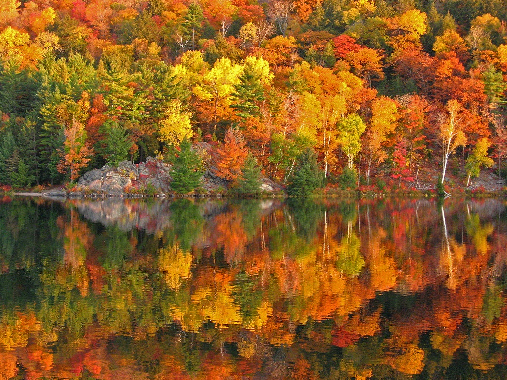 National Parks + Fall Foliage + Day Use Hotel = Glorious Daycay