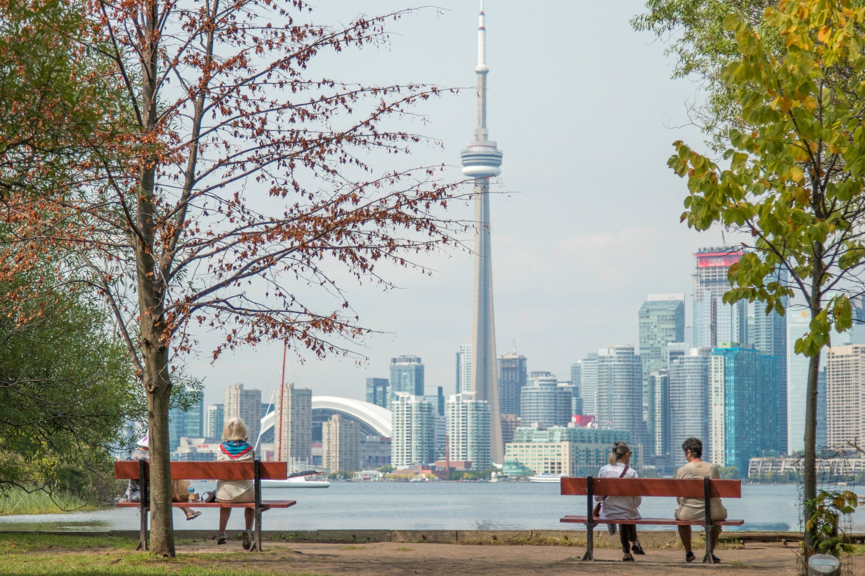 How to Spend a Day in Toronto - sandro schuh 534700 unsplash e1542828356361