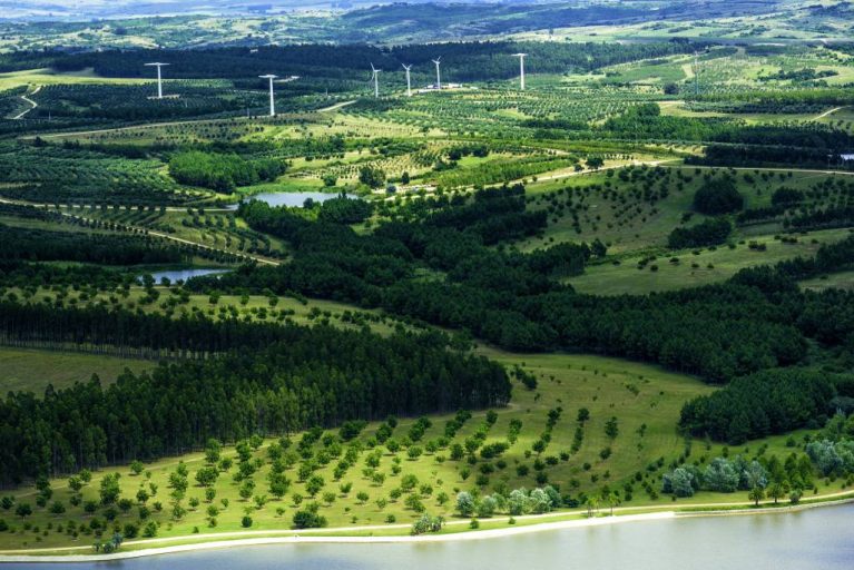 The lush Uruguayan region of Garzón filled with high-technology agricultural, livestock businesses, and of course, wind turbines.